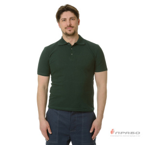 Рубашка «Поло» с коротким рукавом зелёная. Артикул: Трик1031. Цена от 891 р.