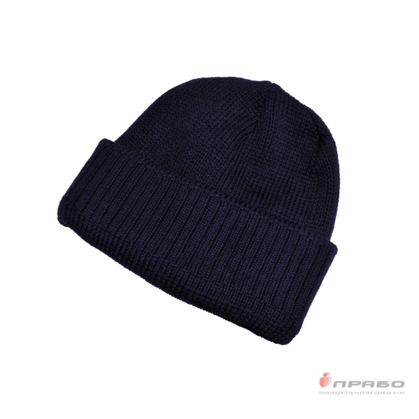 Шапка зимняя трикотажная синяя. Артикул: Гол202. #REGION_MIN_PRICE# в г. Уфа